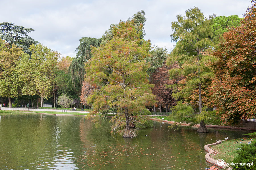 Madryt. Wypoczynek w Parku Retiro. - foto: wnieznane.pl