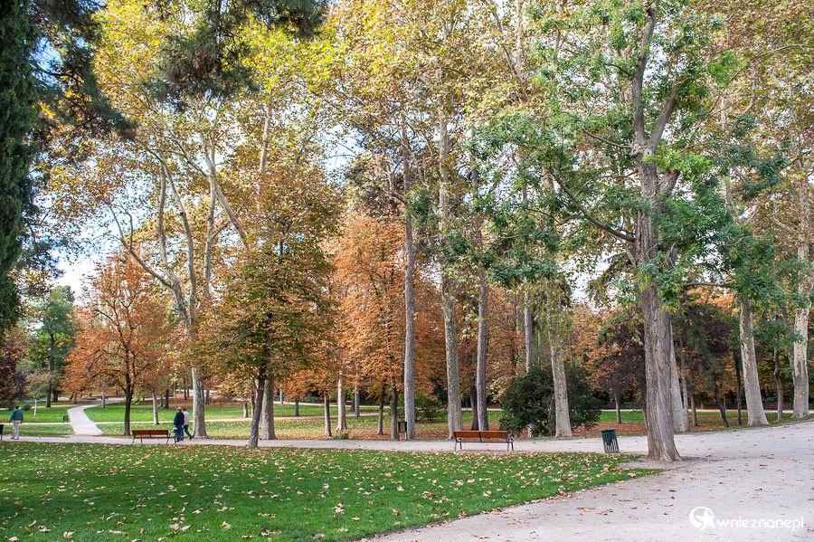Madryt. Wypoczynek w Parku Retiro. - foto: wnieznane.pl