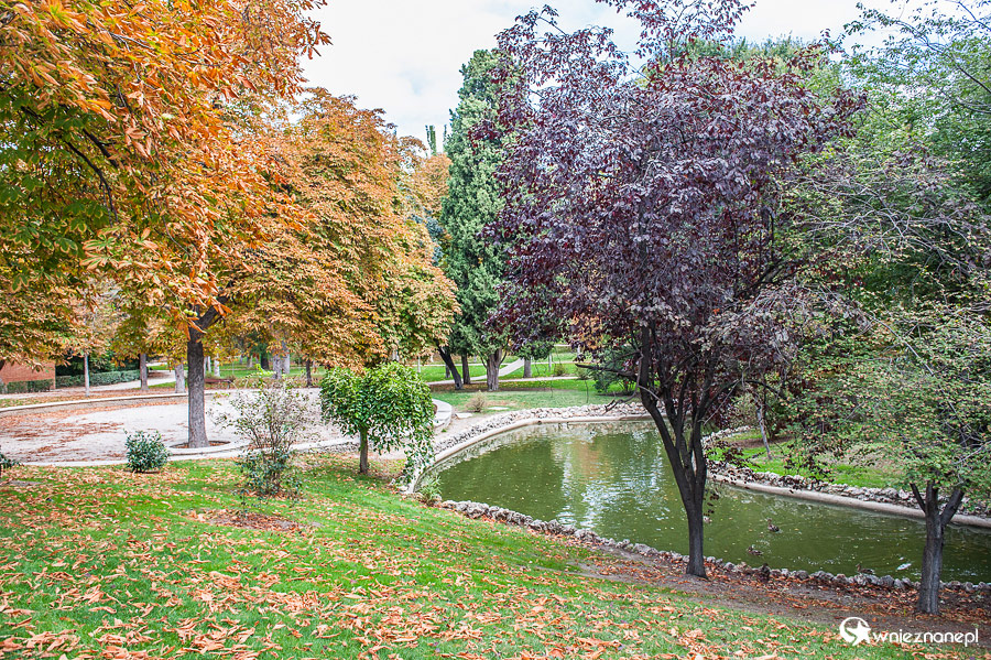 Madryt. W Parku Retiro. - foto: wnieznane.pl