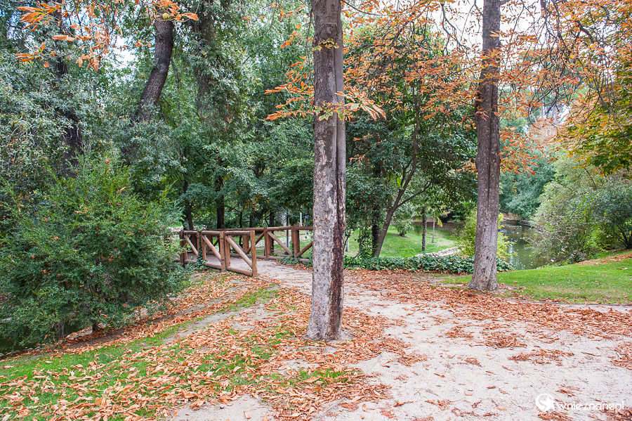 Madryt. W Parku Retiro. - foto: wnieznane.pl