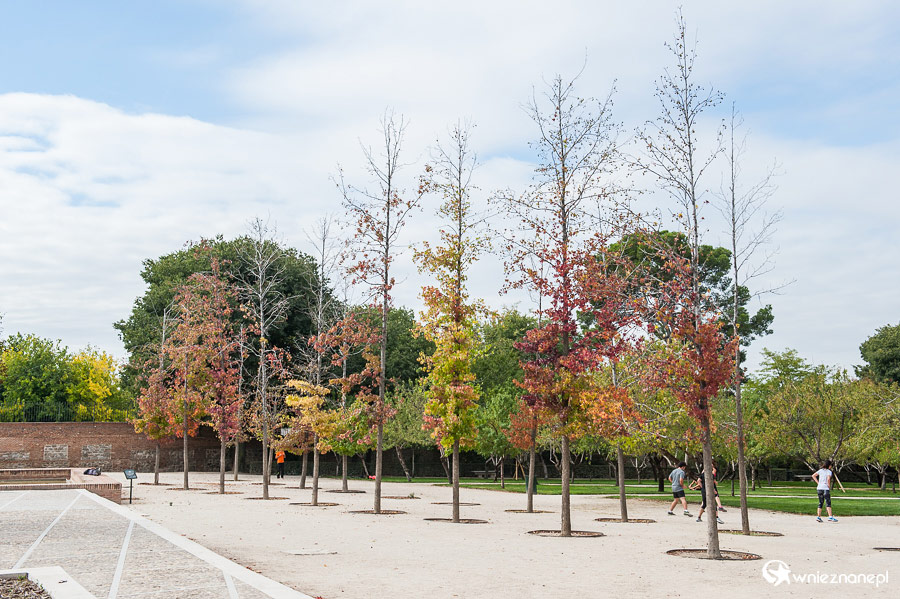 Madryt. W Parku Retiro. - foto: wnieznane.pl