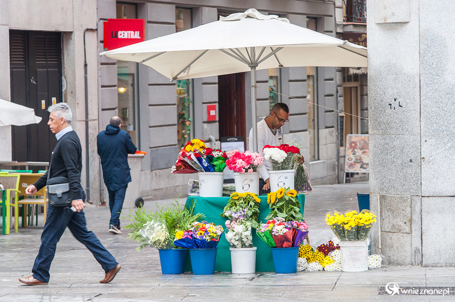 Madryt. Uliczny sprzedawca kwiatów. - foto: wnieznane.pl
