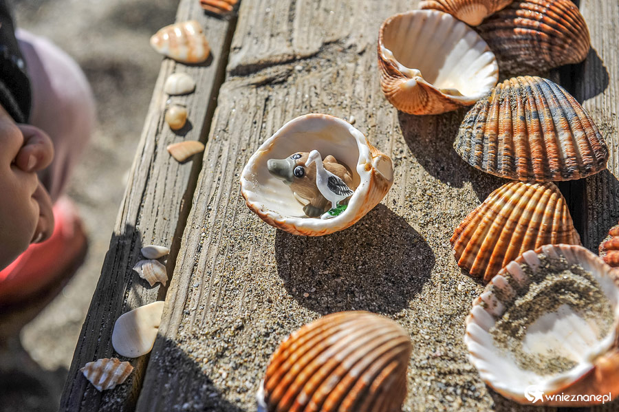 Andaluzja. Zabawa na plaży w Puerto de la Duquesa. - foto: wnieznane.pl Andaluzja. Zabawa na plaży w Puerto de la Duquesa. - foto: wnieznane.pl