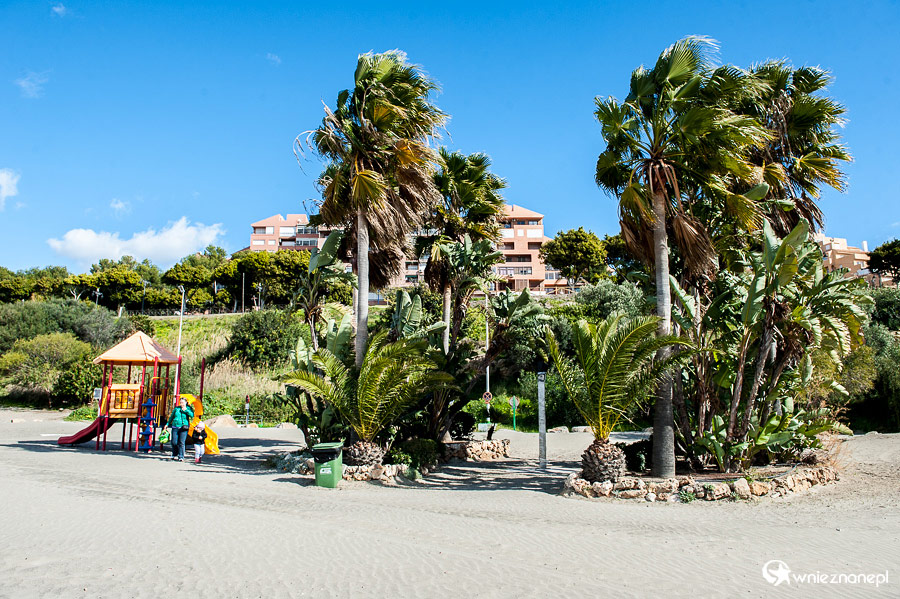 Andaluzja. Palmy na plaży w Esteponie. - foto: wnieznane.pl
