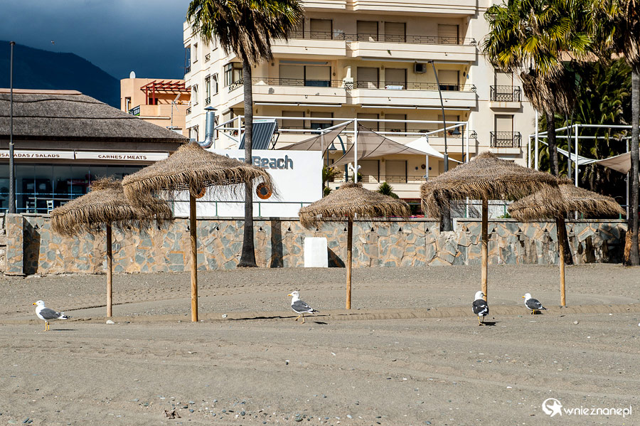 Andaluzja. Parasole zimą na plaży w Esteponie. - foto: wnieznane.pl
