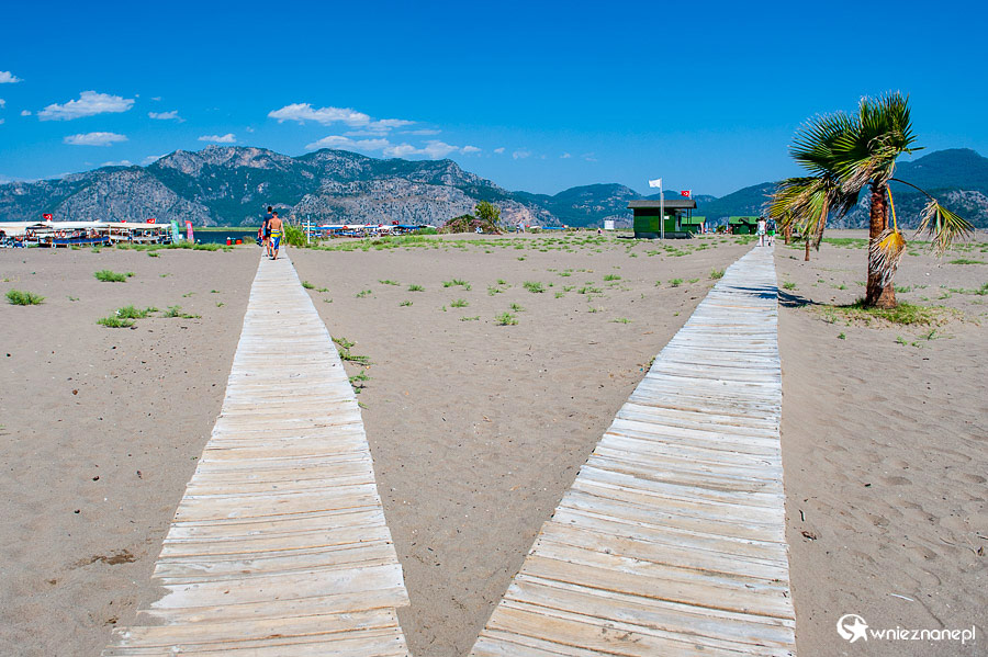 Wspaniała piaszczysta plaża Iztuzu, gdzie żółwie składają jaja. - foto: wnieznane.pl