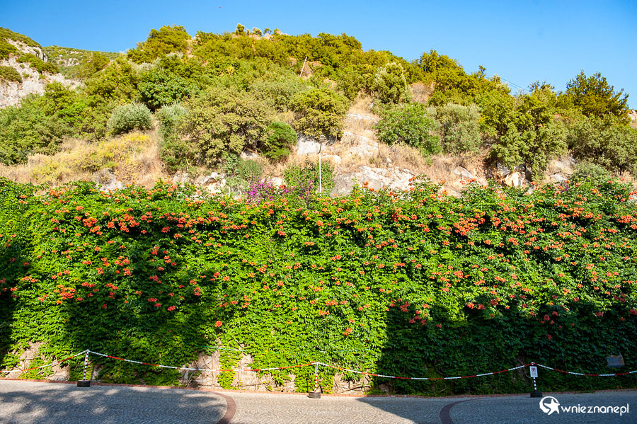Oludeniz. Hotel Oludeniz Resort. - foto: wnieznane.pl