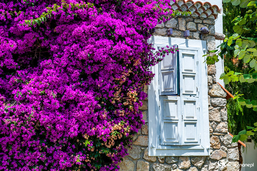 Oludeniz. Hotel Oludeniz Resort. - foto: wnieznane.pl