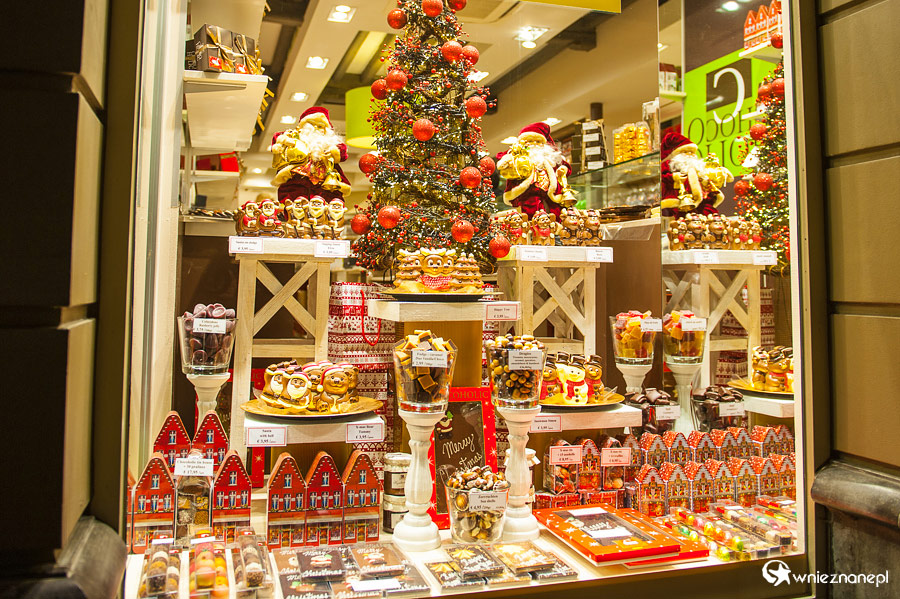 Brugia. - foto: wnieznane.pl