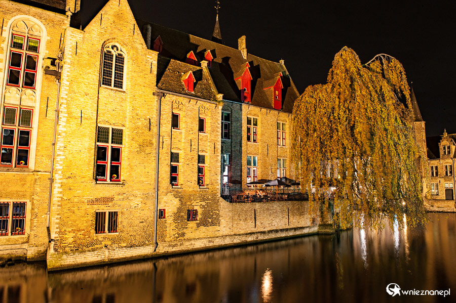 Brugia. - foto: wnieznane.pl