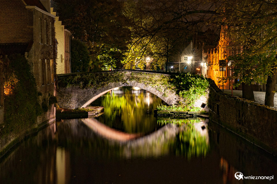 Brugia. - foto: wnieznane.pl