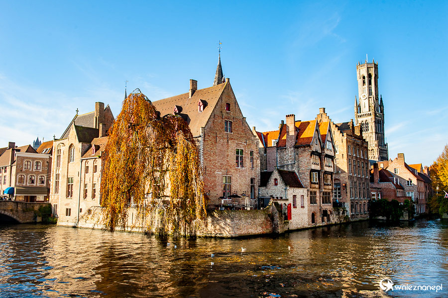 Brugia. - foto: wnieznane.pl