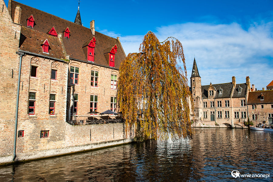 Brugia. - foto: wnieznane.pl