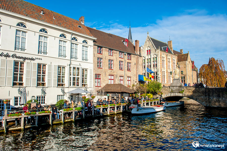 Brugia. - foto: wnieznane.pl