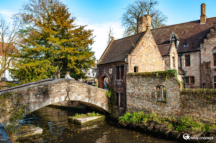 Brugia. - foto: wnieznane.pl