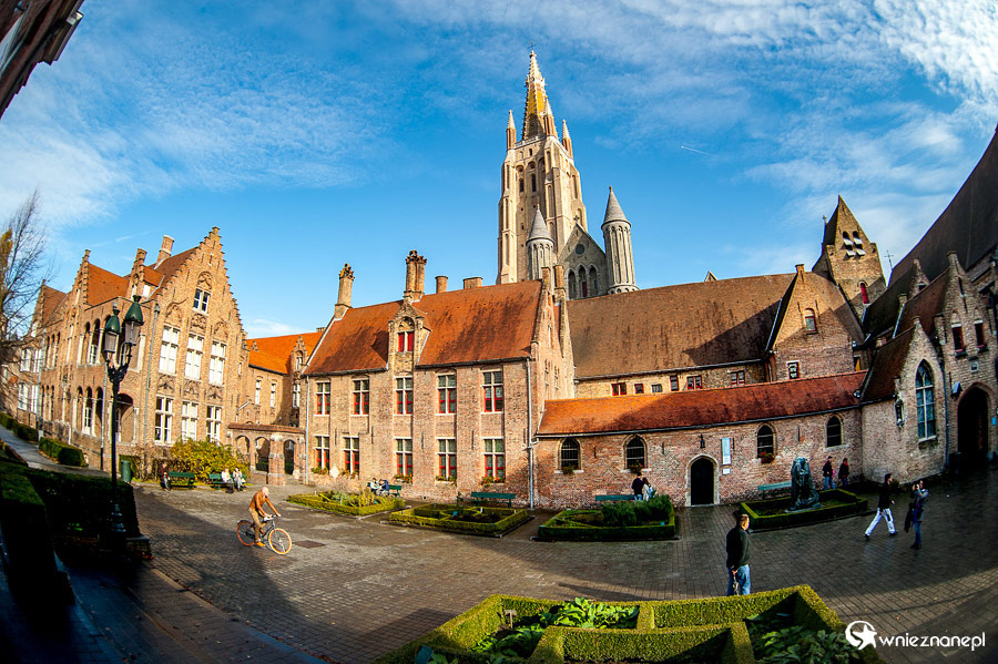 Brugia. - foto: wnieznane.pl