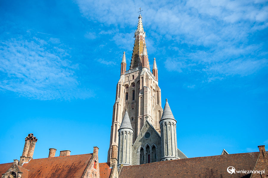 Brugia. - foto: wnieznane.pl