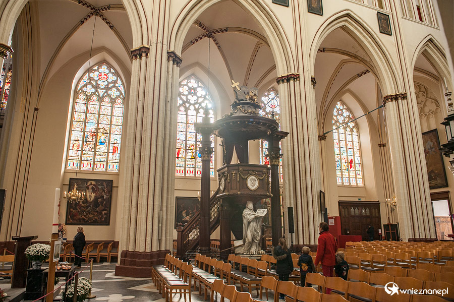 Brugia. - foto: wnieznane.pl