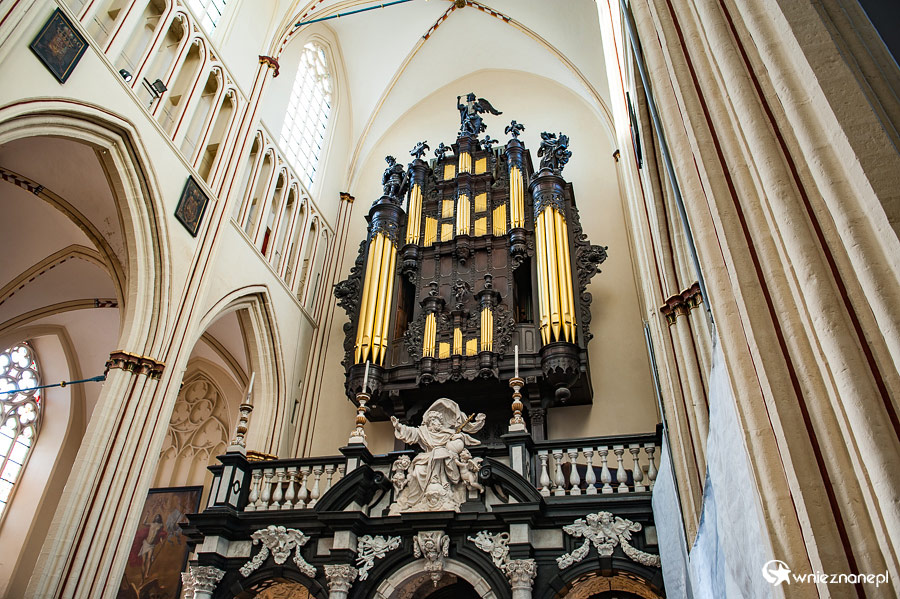 Brugia. - foto: wnieznane.pl