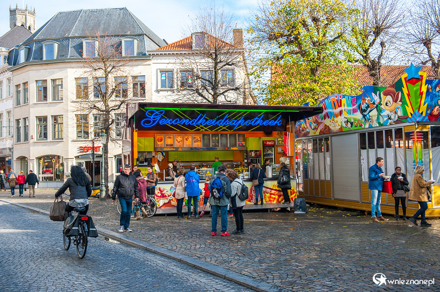 Brugia. - foto: wnieznane.pl