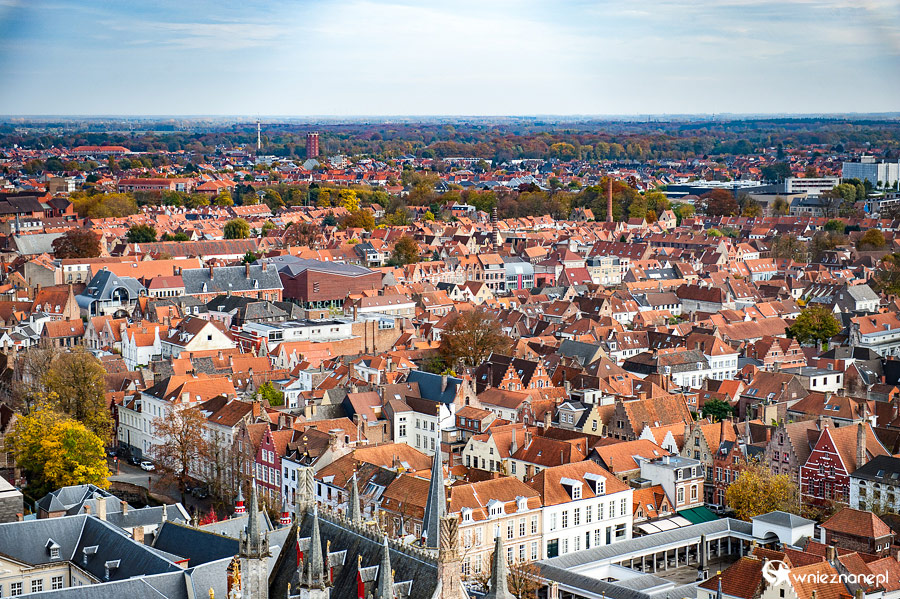 Brugia. - foto: wnieznane.pl