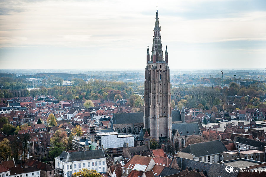 Brugia. - foto: wnieznane.pl