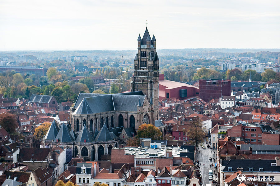 Brugia. - foto: wnieznane.pl