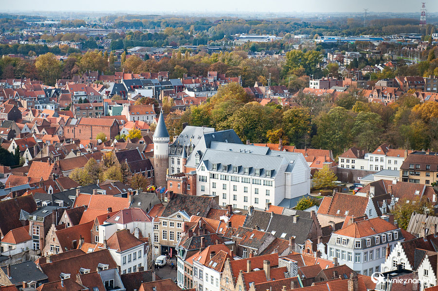 Brugia. - foto: wnieznane.pl