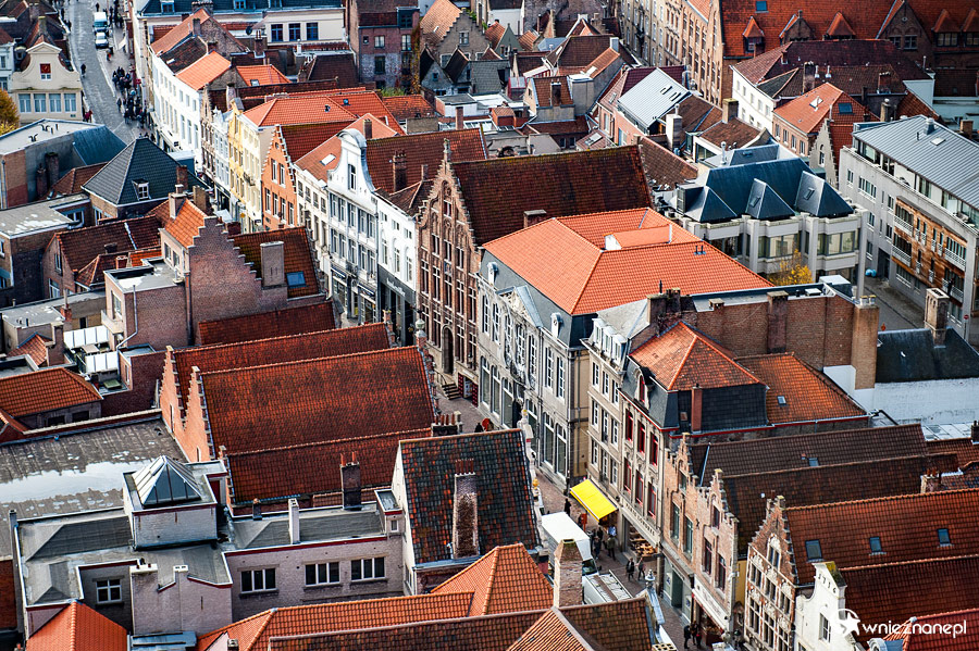 Brugia. - foto: wnieznane.pl