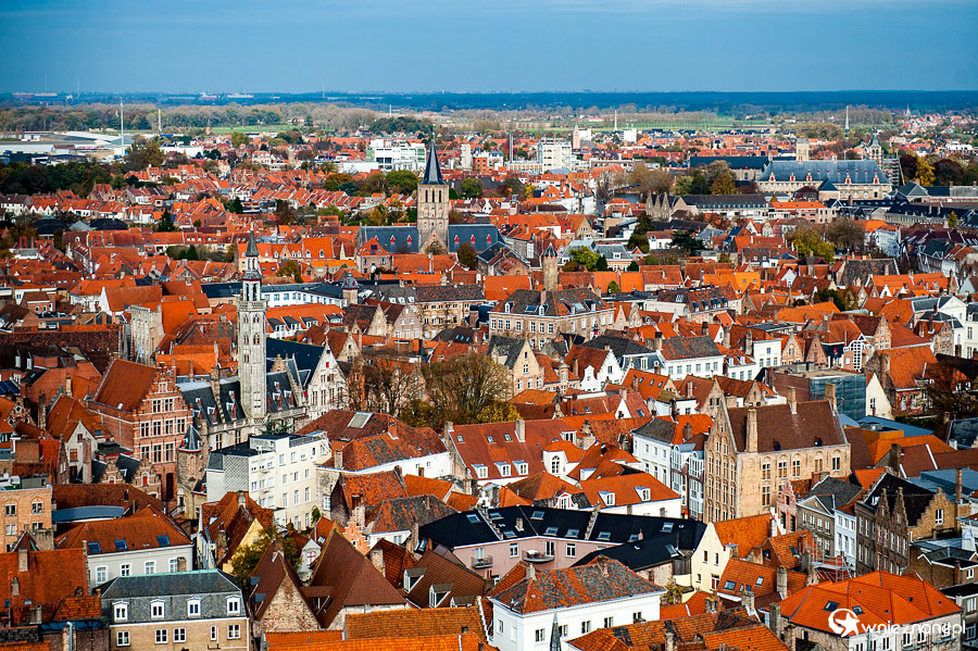 Brugia. - foto: wnieznane.pl