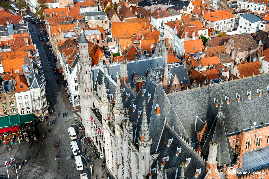 Brugia. - foto: wnieznane.pl