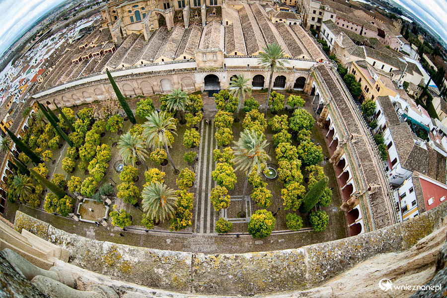 Kordoba. Widok na miasto z wieży katedralnej. - foto: wnieznane.pl