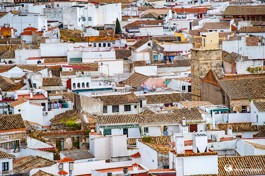 Kordoba. Panorama miasta z wieży katedralnej. - foto: wnieznane.pl