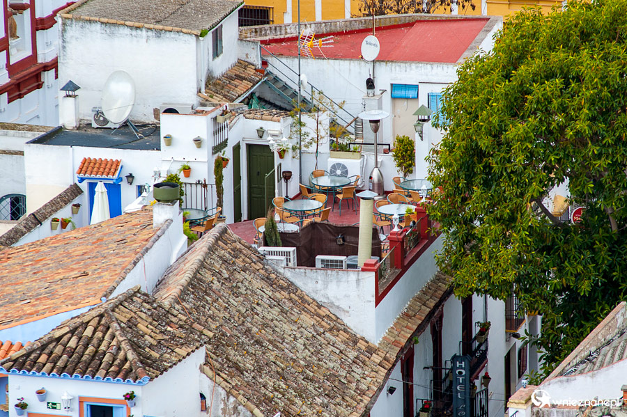 Kordoba. Restauracja na dachu. - foto: wnieznane.pl