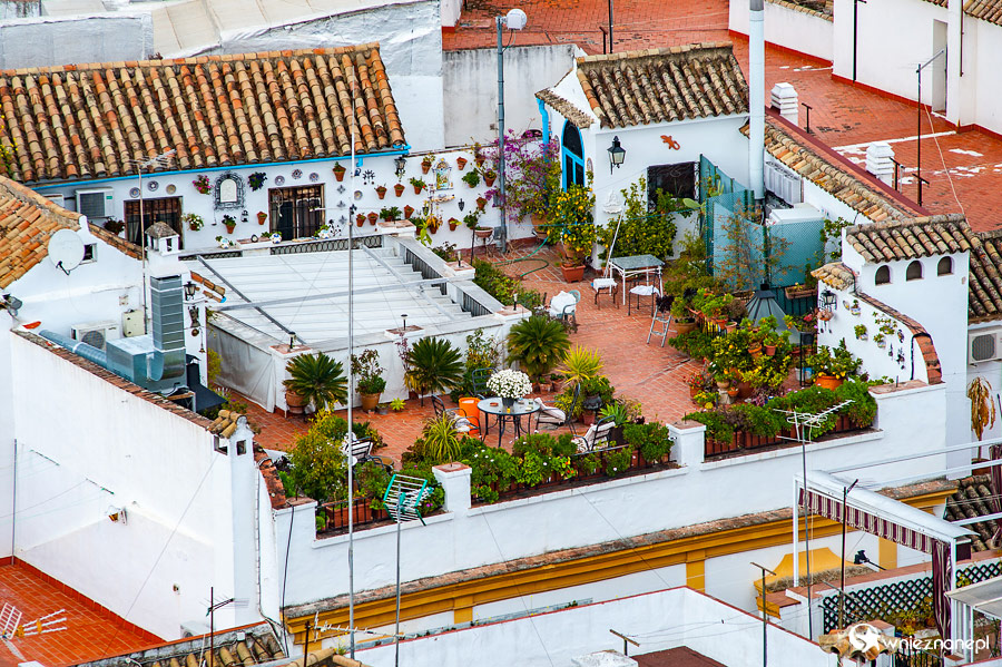 Kordoba. Piękny ogród na dachu domu. - foto: wnieznane.pl