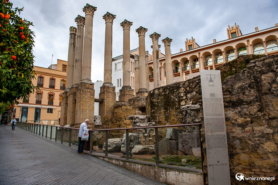 Kordoba. Pozostałości Templo Romano. - foto: wnieznane.pl Kordoba. Pozostałości Templo Romano. - foto: wnieznane.pl