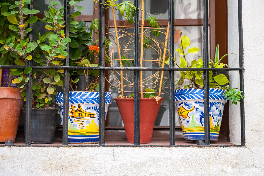 Kordoba. Kolorowe donice na okiennym parapecie. - foto: wnieznane.pl