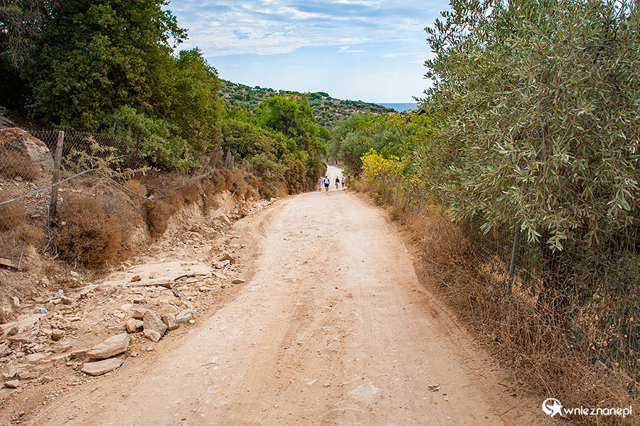 Thassos. Droga do plaży Kalami. - foto: wnieznane.pl Thassos. Droga do plaży Kalami. - foto: wnieznane.pl
