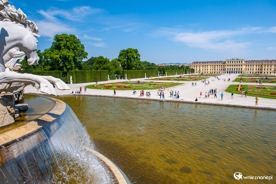 Wiedeń. Ogrody pałacowe Schonbrunn. - foto: wnieznane.pl
