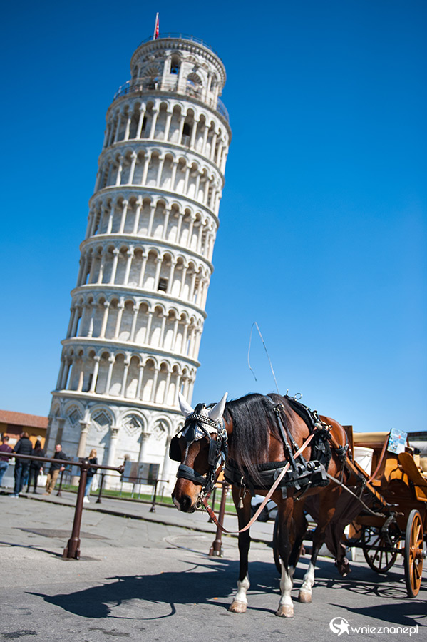 Piza. Przy Krzywej Wieży. - foto: wnieznane.pl