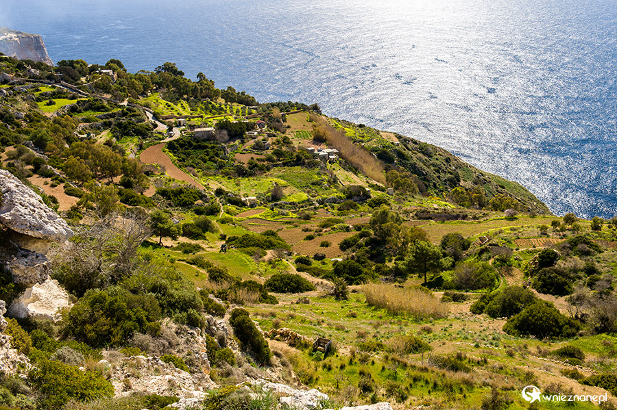 Malta. Spacer po klifach Dingli. - foto: wnieznane.pl Malta. Spacer po klifach Dingli. - foto: wnieznane.pl