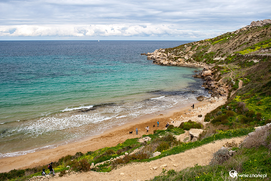 Malta. Malownicza plaża Selmun niedaleko miejscowości Mellieha. - foto: wnieznane.pl