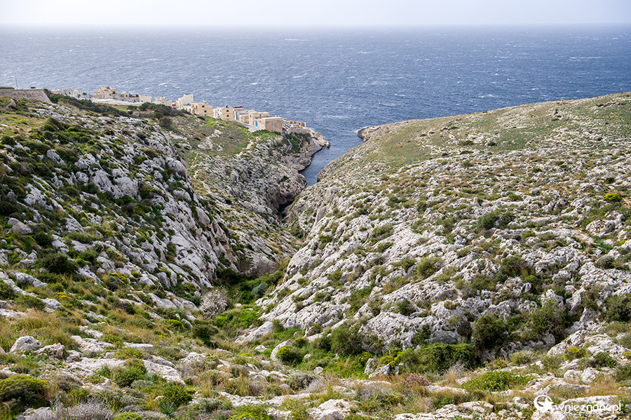 Malta. Klifowe wybrzeże niedaleko Blue Grotto. - foto: wnieznane.pl Malta. Klifowe wybrzeże niedaleko Blue Grotto. - foto: wnieznane.pl