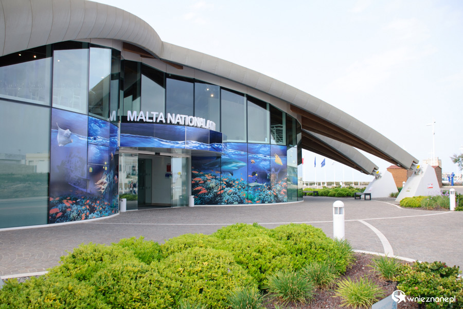 Malta. Qawra. Oceanarium. - foto: wnieznane.pl