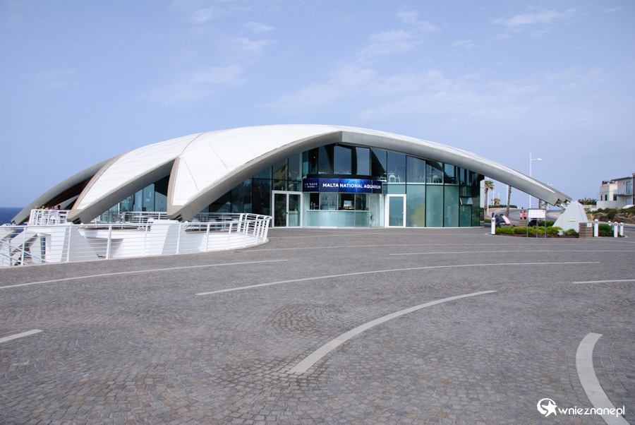 Malta. Qawra. Oceanarium. - foto: wnieznane.pl