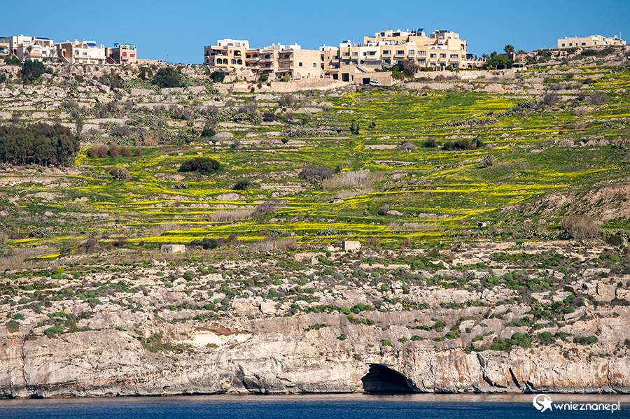 Gozo. Klifowe wybrzeże wyspy. - foto: wnieznane.pl Gozo. Klifowe wybrzeże wyspy. - foto: wnieznane.pl