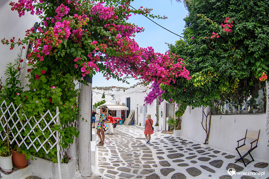 Mykonos. Uliczka w stolicy wyspy. Uroku dodaje jej kwitnąca przez całe lato bugenwilla. - foto: wnieznane.pl Mykonos. Uliczka w stolicy wyspy. Uroku dodaje jej kwitnąca przez całe lato bugenwilla. - foto: wnieznane.pl