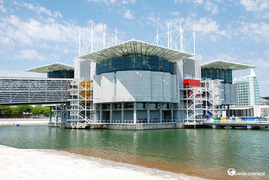Lizbona. Oceanarium. - foto: wnieznane.pl