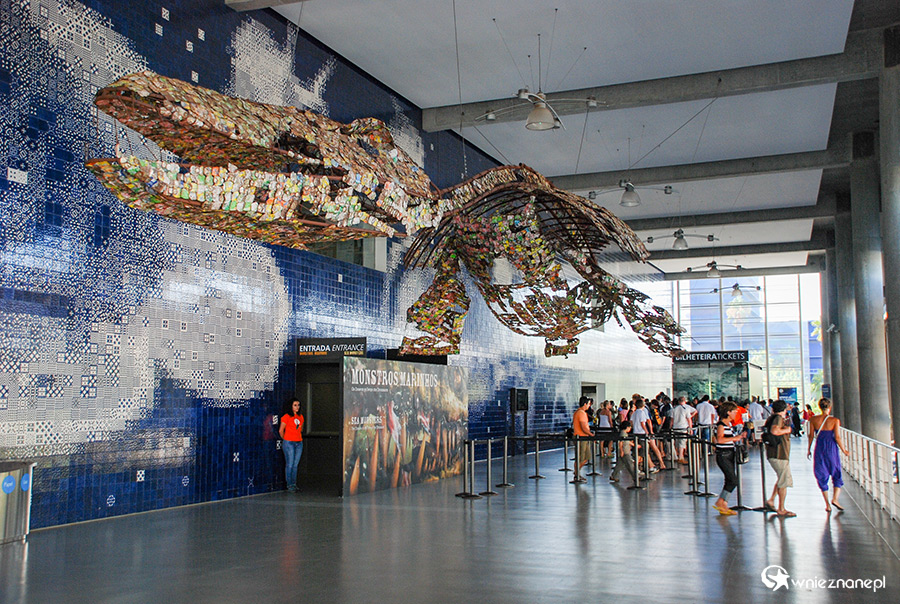 Lizbona. Oceanarium. - foto: wnieznane.pl