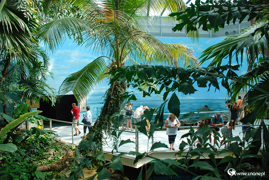 Lizbona. Oceanarium. - foto: wnieznane.pl